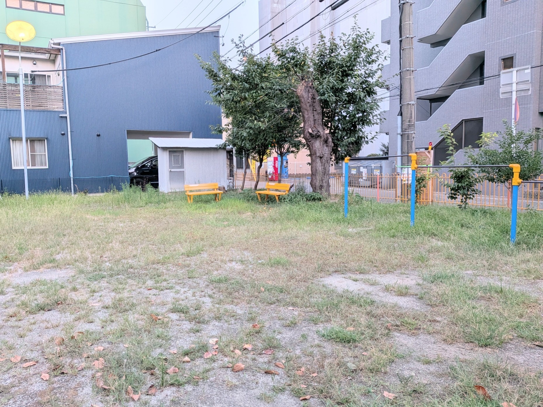 【No.62】みんなで支え、みんなで育てる子どもの遊び場―どんぐりひろば・児童遊園地の魅力向上と担い手づくり―